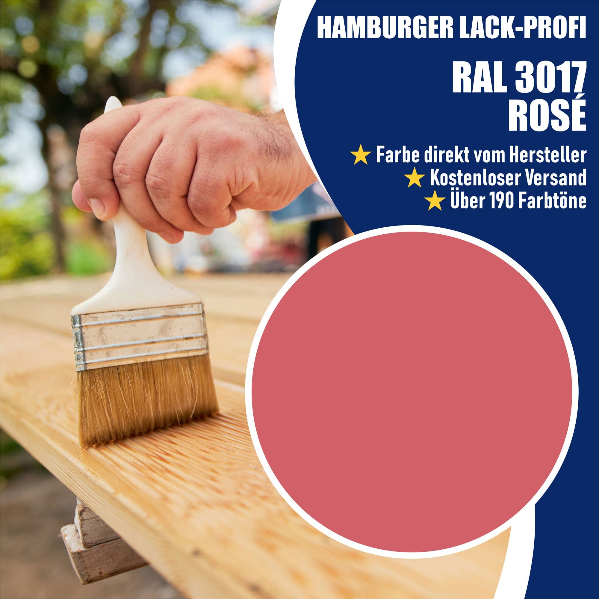 Hamburger Lack-Profi Lacke & Beschichtungen Hamburger Lack-Profi Bootslack Rosé RAL 3017