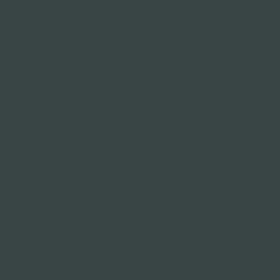 Hamburger Lack-Profi Lacke & Beschichtungen Hamburger Lack-Profi Buntlack in Schwarzgrün RAL 6012 mit Lackierset (X300) & Verdünnung (1 L) - 30% Sparangebot