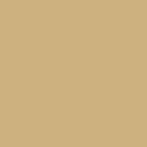 Hamburger Lack-Profi Lacke & Beschichtungen Hamburger Lack-Profi Schwimmbeckenfarbe Poolfarbe in Braunbeige RAL 1011 mit Lackierset (X300) & Verdünnung (1 L) - 30% Sparangebot