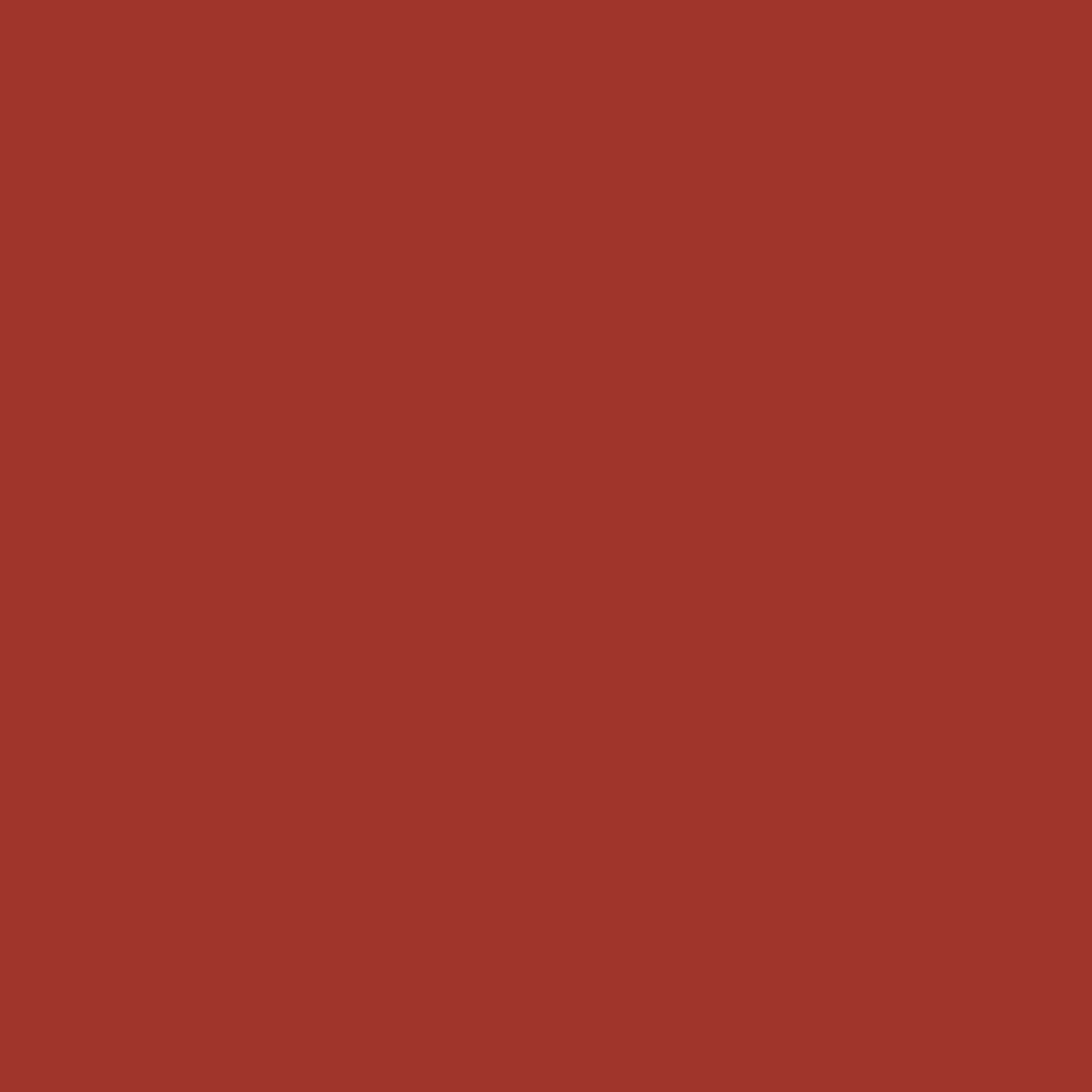 Hamburger Lack-Profi Lacke & Beschichtungen Hamburger Lack-Profi Buntlack in Tomatenrot RAL 3013 mit Lackierset (X300) & Verdünnung (1 L) - 30% Sparangebot