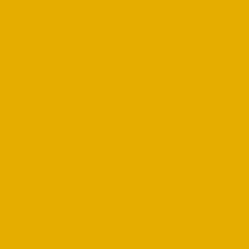 Hamburger Lack-Profi Hamburger Lack-Profi Fliesenlack Ginstergelb RAL 1032 - hochdeckende Fliesenfarbe Gelb