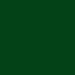 Hamburger Lack-Profi Hamburger Lack-Profi Fliesenlack Moosgrün RAL 6005 - hochdeckende Fliesenfarbe Grün